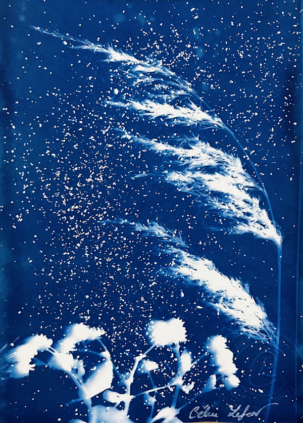 Wild Grass 2 by CELINE LEFORT