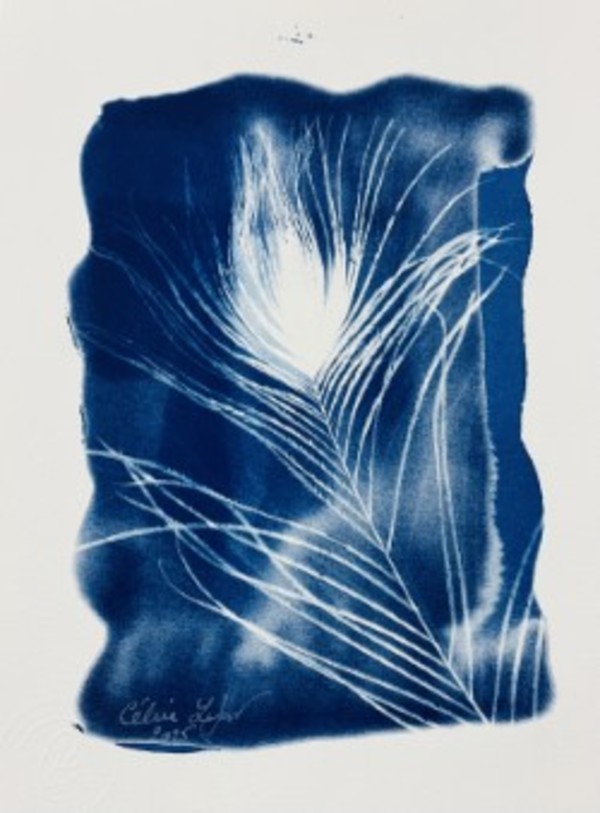 Peacock Feather 2 by CELINE LEFORT
