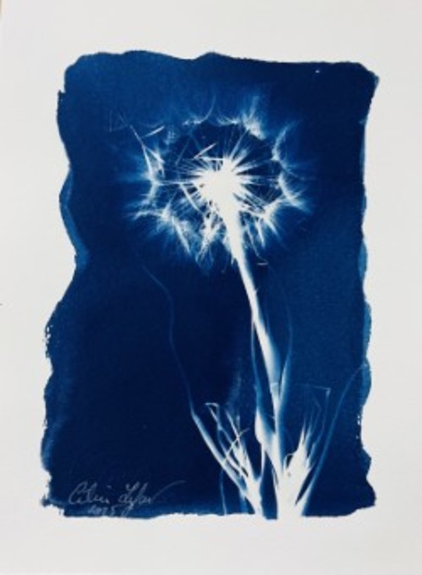 Made a Wish 4 by CELINE LEFORT