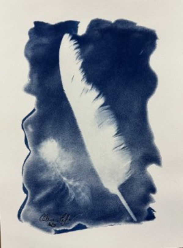 Owl Feather by CELINE LEFORT