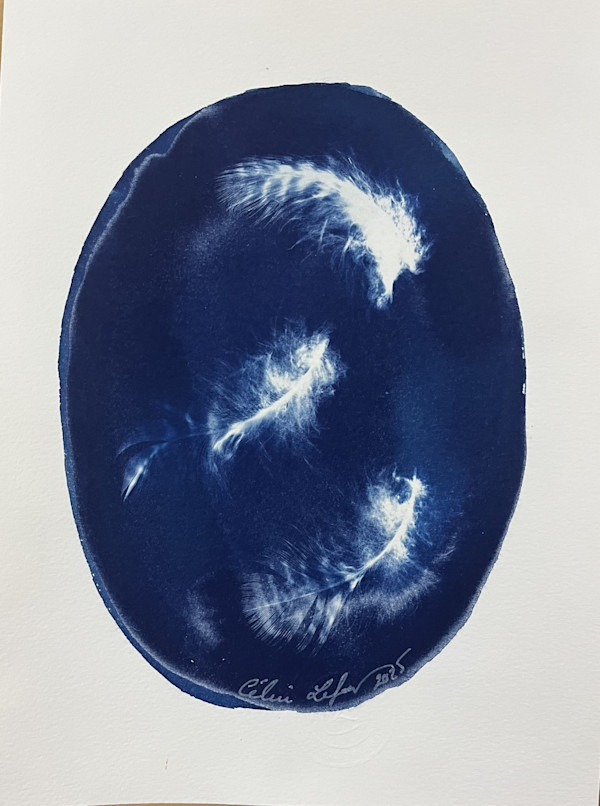 Owl fluff 2 by CELINE LEFORT