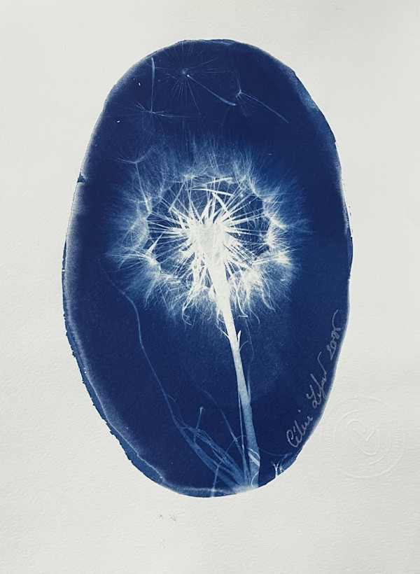 Made a Wish 5 by CELINE LEFORT