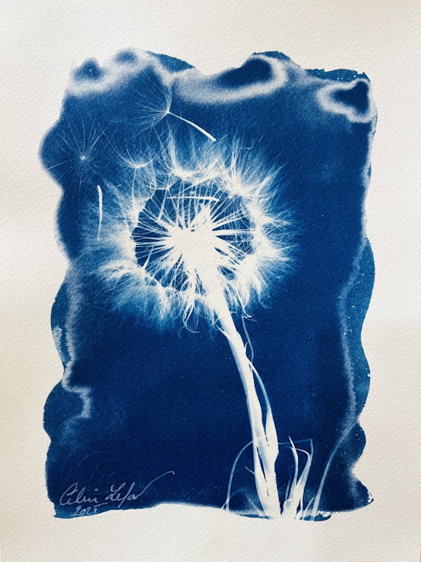 Made a Wish 3 by CELINE LEFORT