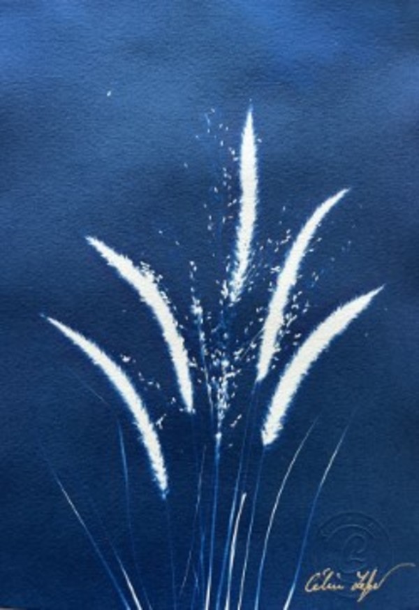 Feather & delicate grass by CELINE LEFORT