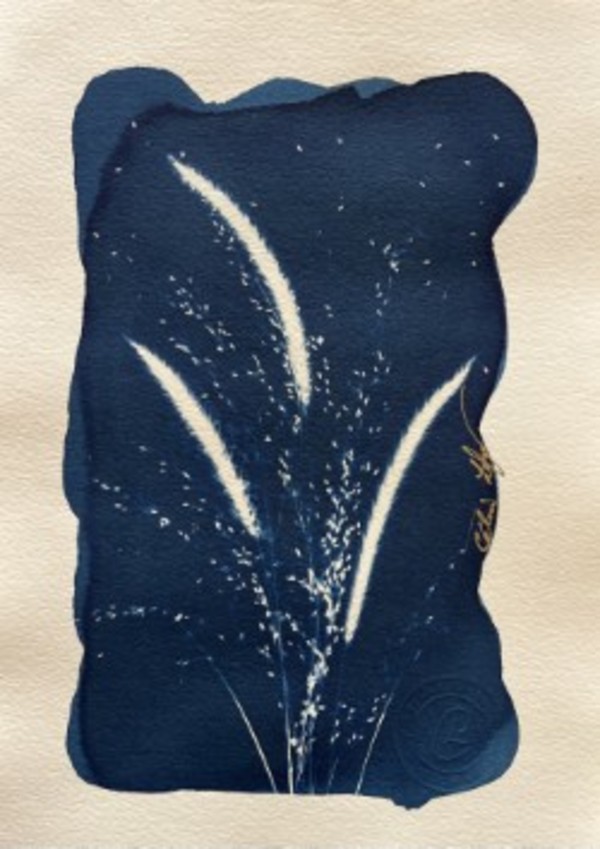 Feather & delicate grass 3 by CELINE LEFORT