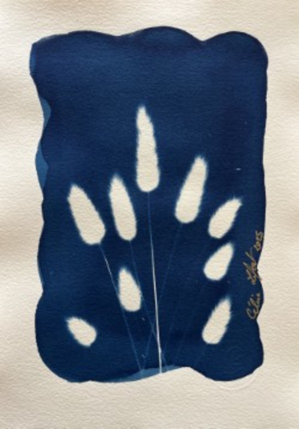 Bunny Tails Steams 2 by CELINE LEFORT