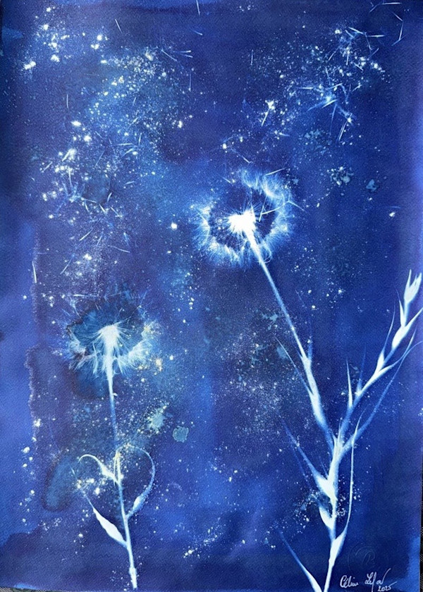 Made a wish 8 by CELINE LEFORT