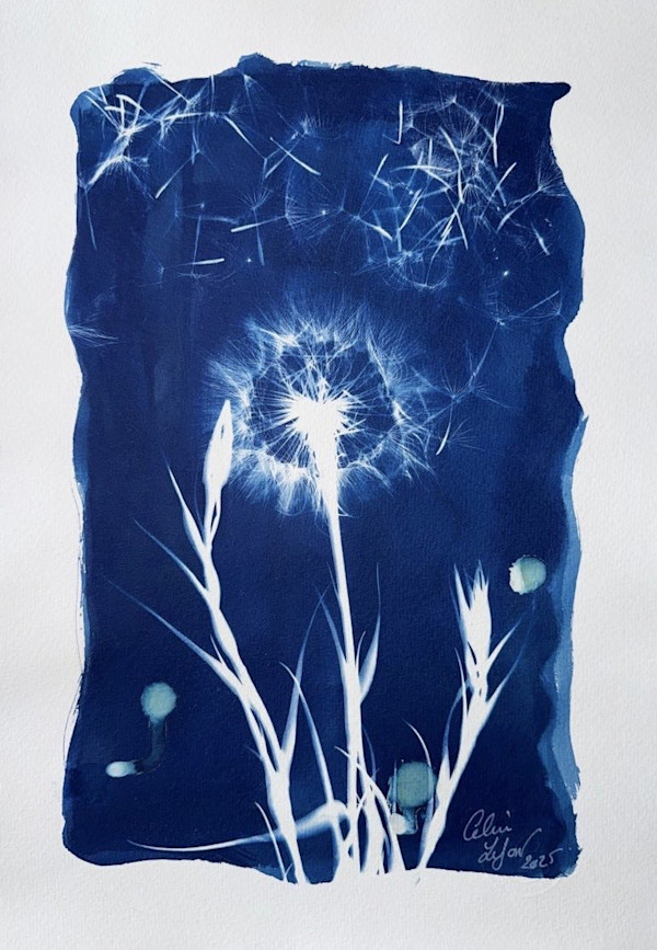 Made a wish 7 by CELINE LEFORT