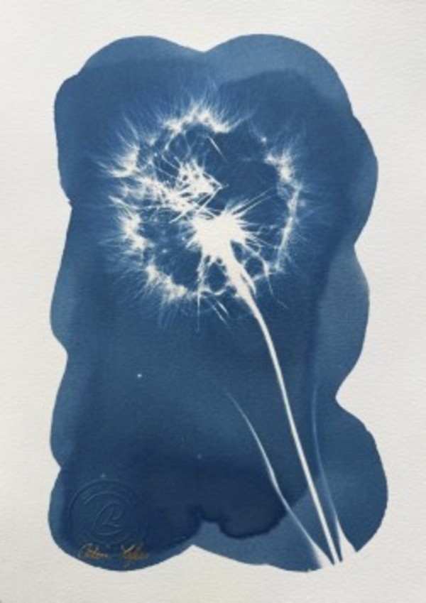 Make a Wish by CELINE LEFORT