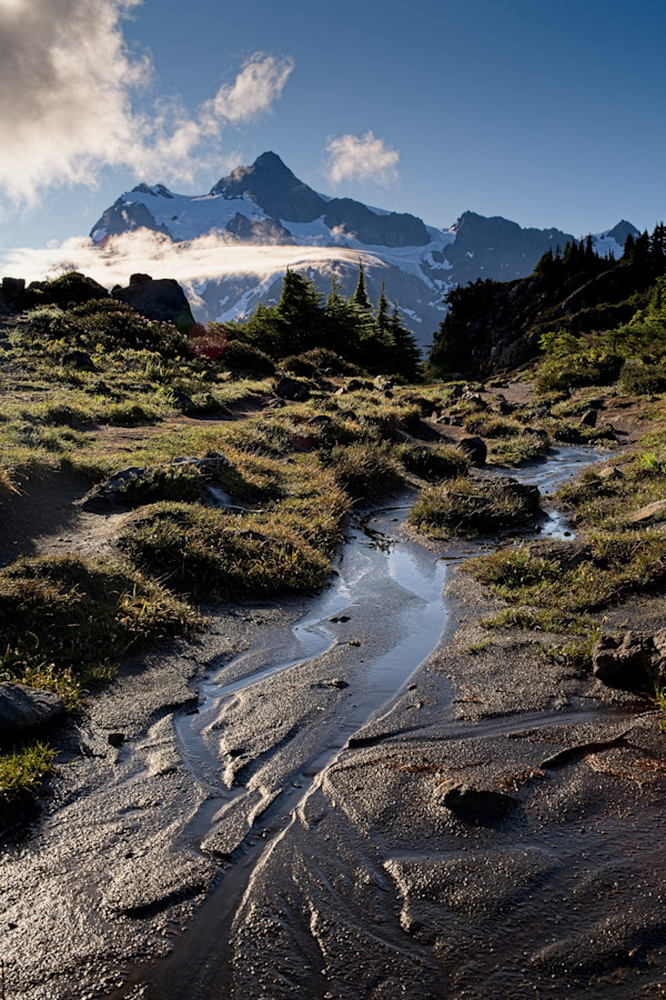 Revelations 1/10 by Bryan Sabol