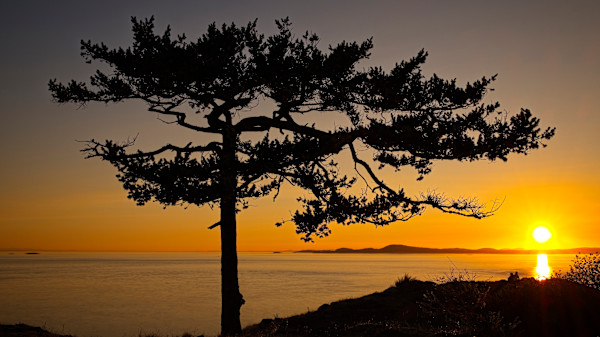 Together 1/10 by Bryan Sabol