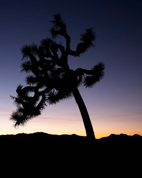 Joshua Shadow 1/10 by Bryan Sabol