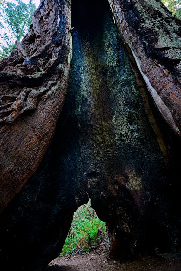 Scorched Hollow 1/10 by Bryan Sabol