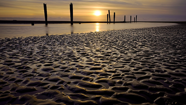 Little Things 1/10 by Bryan Sabol