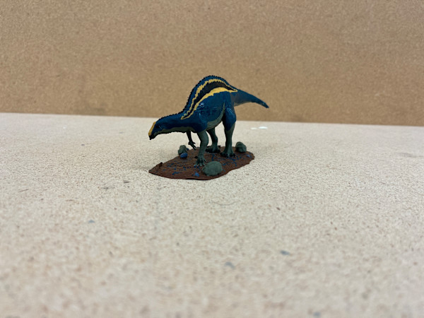 Istiorachis by Andrew Bovenzi, Image 4.