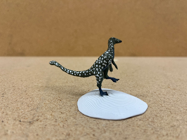 Leaellynasaura model by Andrew Bovenzi, Image 6.