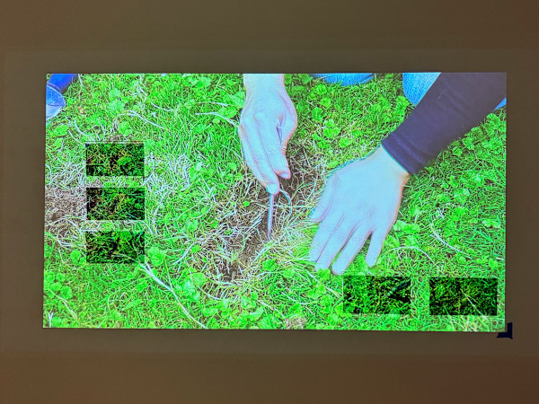 DMZ Treatment by Isabelle "Belle" Chau