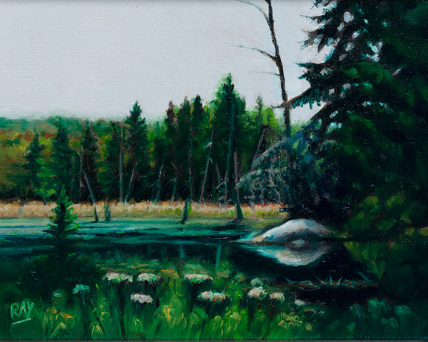 Beaver Pond by Alan Douglas Ray