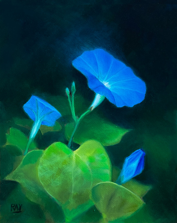 Three Morning Glories by Alan Douglas Ray
