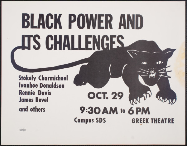 Black Power and Its Challenges by Lisa Lyons