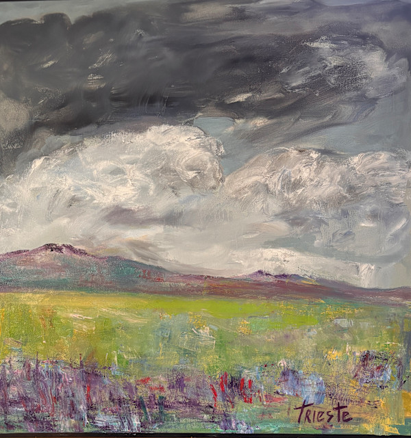 Rain by Carol Trieste