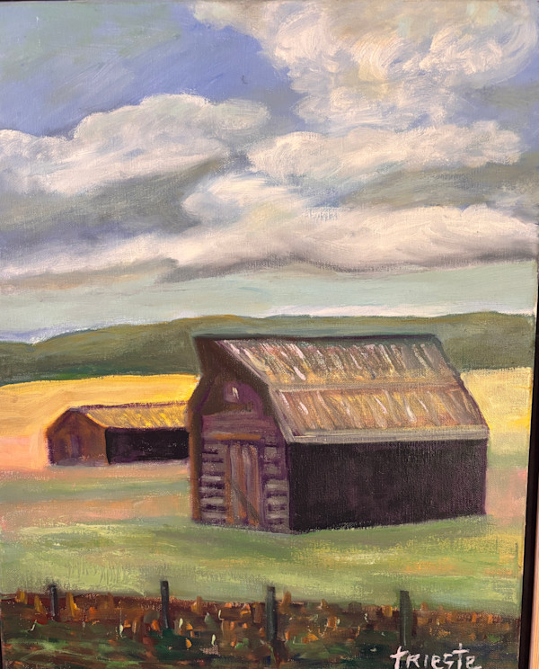 Idaho Barn by Carol Trieste
