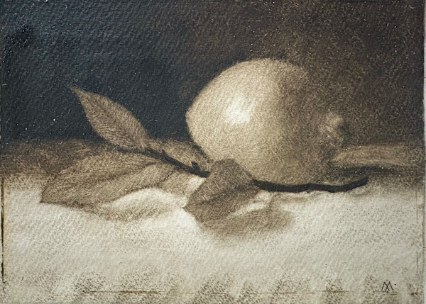 Lemon with Bay Leaves by Martha Lee Turner