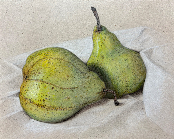 Striped and Speckled Pears by Martha Lee Turner