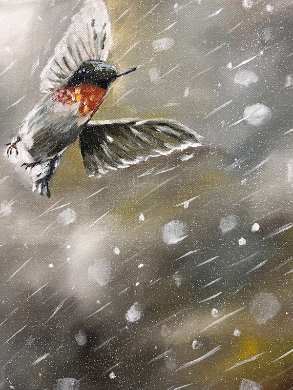 Hummingbird 04 by Christina Wilson, Image 1.