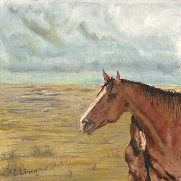Horse and Foal by Christina Wilson, Image 1.