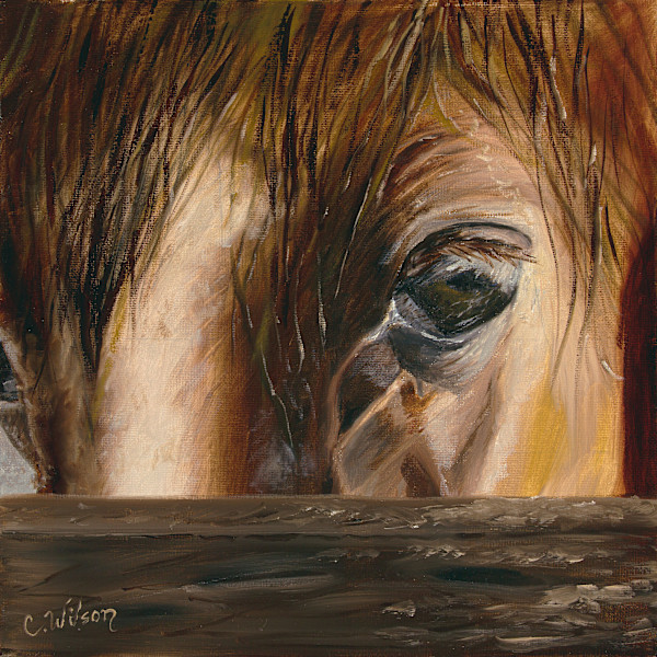 Up Close by Christina Wilson, Image 1.