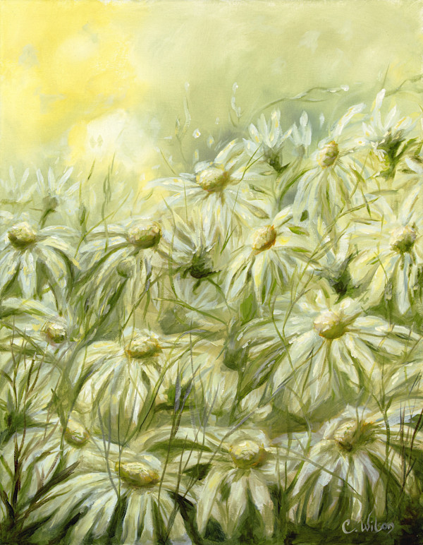 Tara's Daisies by Christina Wilson, Image 1.