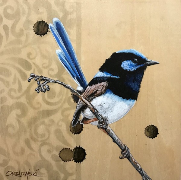 Blue Wren III by Lynette Orzlowski