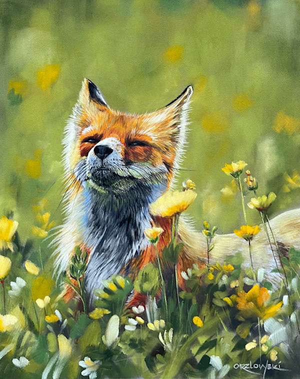 Buttercup Glow Up by Lynette Orzlowski