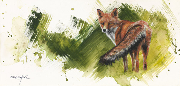 Mr. Fox by Lynette Orzlowski