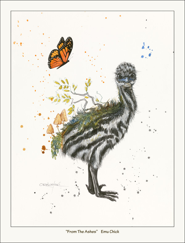 From the Ashes-  Baby Emu by Lynette Orzlowski