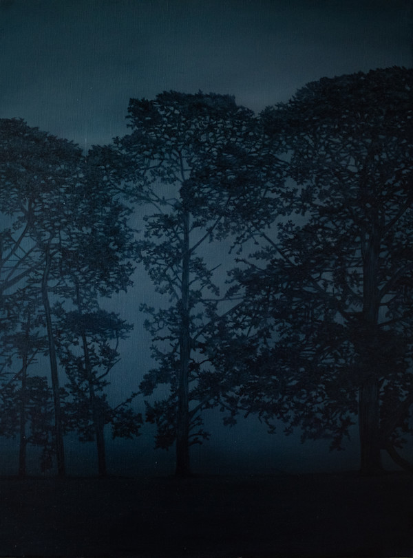 Winchelsea Pines #2 by Kathryn Ryan, Image 1.