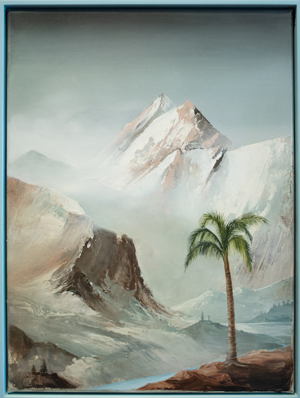 The Glacial Palm by Peter Daverington, Image 1.