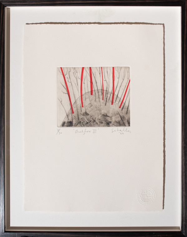 Bushfire III by Mark Schaller, Image 1.
