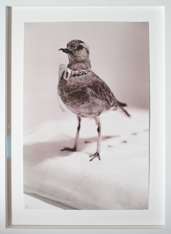 Xmas Chick by Louise Paramour, Image 1.