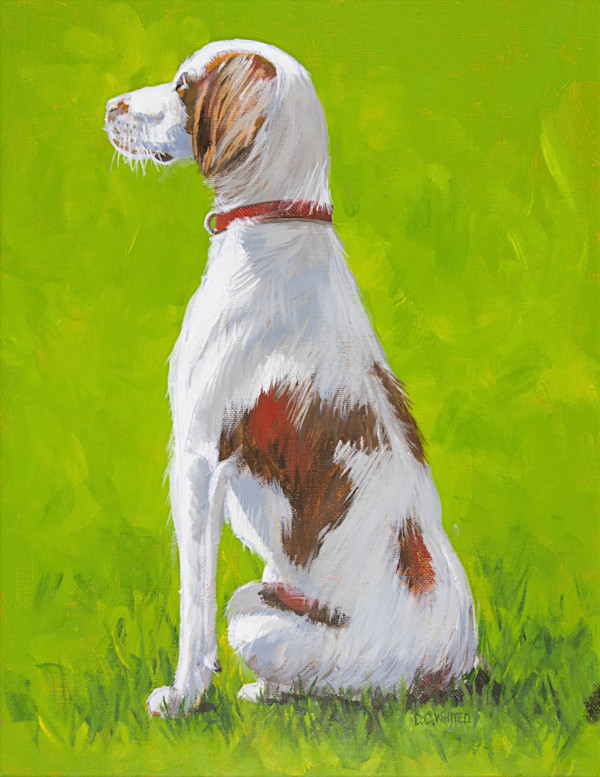 Brittany Spaniel (Prints available) by David Whited