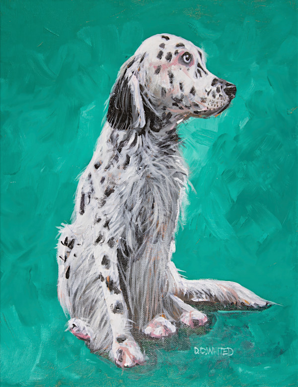 English Setter by David Whited