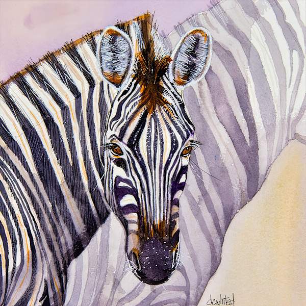 Zebra Watching by David Whited