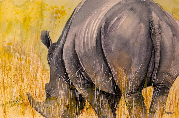 Southern White Rhino, South Africa (Sold- prints available) by David Whited