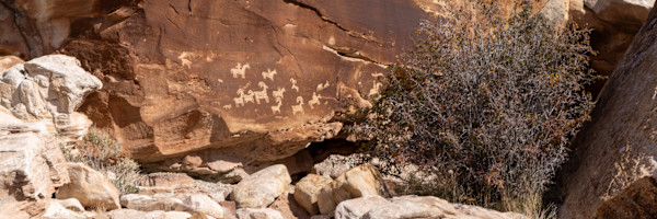 Arches National Park - petroglyphs, Utah, USA by David Whited