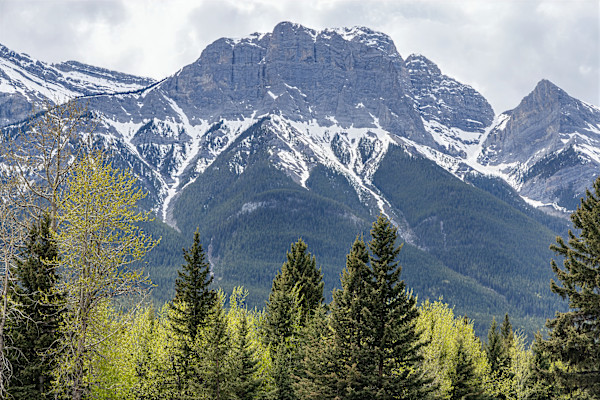 Canadian Rockies, British Columbia by David Whited