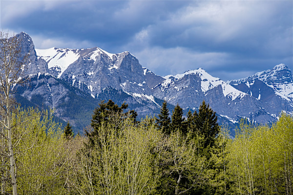 Canadian Rockies, British Columbia by David Whited