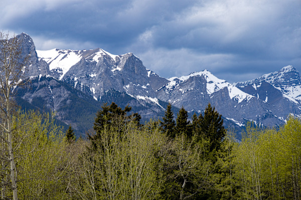 Grand Teton National Park, Wyoming, USA by David Whited