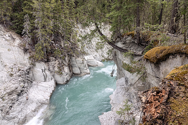 Bow River in Canadian Rockies, Banff National Park, Alberta Canada by David Whited