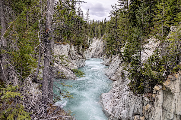 Bow River in the Canadian Rockies, Banff National Park, Alberta Canada by David Whited